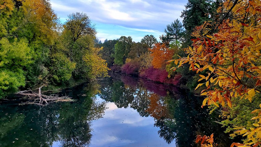 Tualatin River From River Overlook